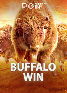 โกง slotxo เทคนิคเล็กๆ ที่ผู้เล่นควรรู้